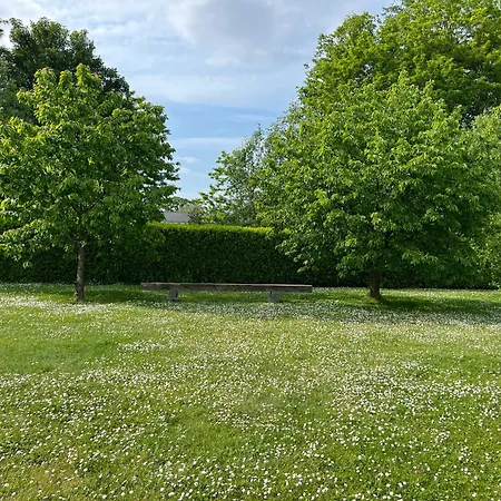 Dame Cerise Apartamento *